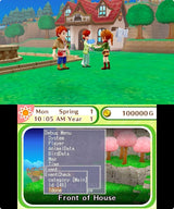 Harvest Moon: Skytree Village - 3DS - Video Games by Rising Star Games The Chelsea Gamer