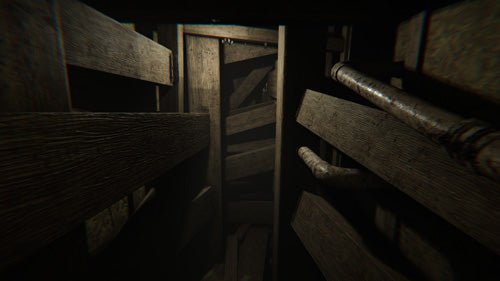 MADiSON - Possessed Edition - PlayStation 5 - Video Games by Perpetual Europe The Chelsea Gamer