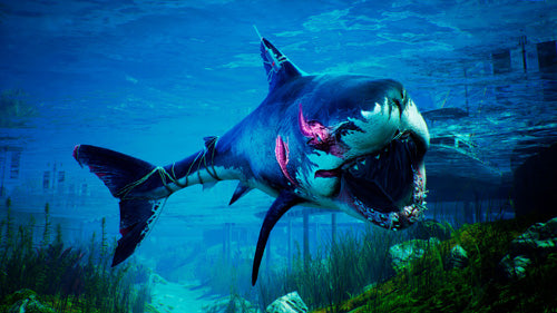 Maneater Apex Edition - Xbox - Video Games by Deep Silver UK The Chelsea Gamer