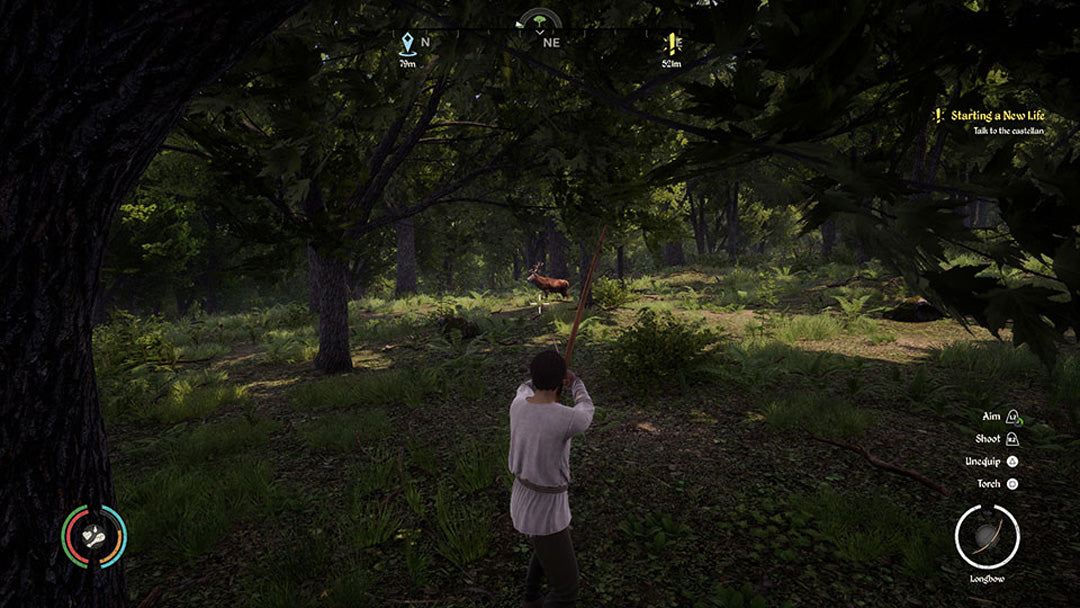 Medieval Dynasty - Xbox Series X - Video Games by Merge Games The Chelsea Gamer