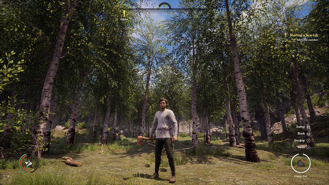 Medieval Dynasty - Xbox Series X - Video Games by Merge Games The Chelsea Gamer