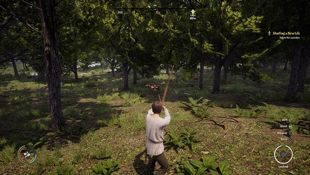 Medieval Dynasty - Xbox Series X - Video Games by Merge Games The Chelsea Gamer