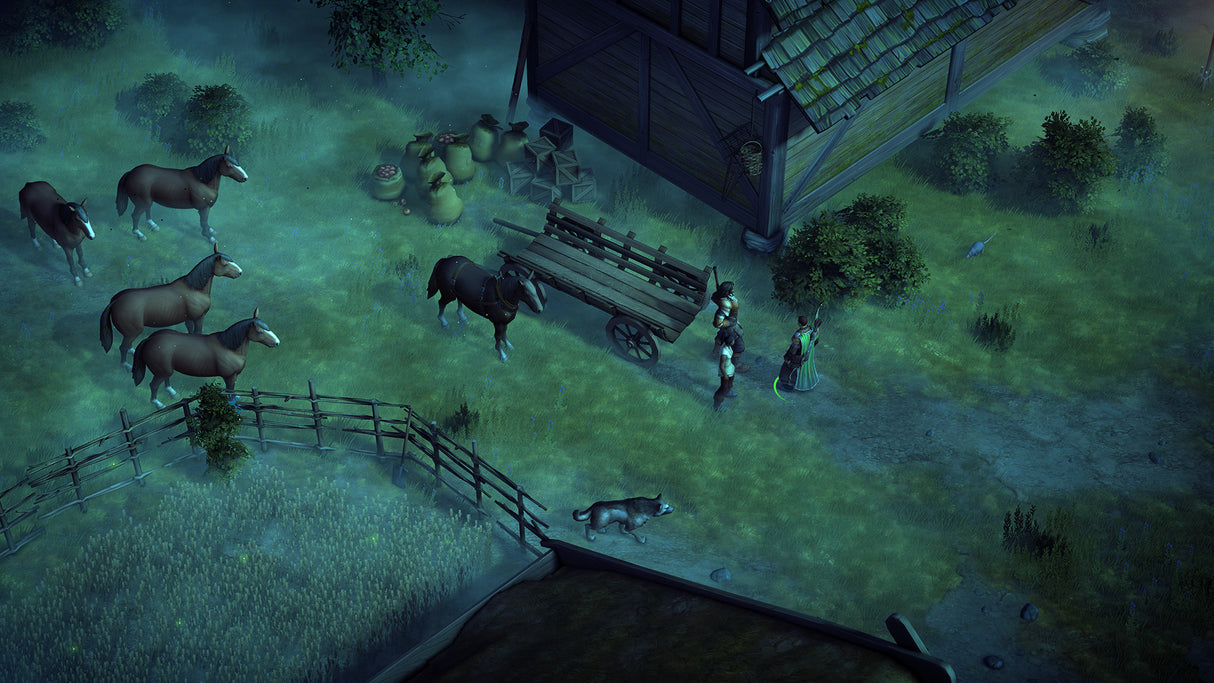 Pathfinder: Kingmaker Definitive Edition - Video Games by Deep Silver UK The Chelsea Gamer