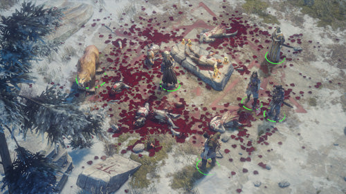 Pathfinder: Wrath of the Righteous - Limited Edition - Xbox - Video Games by Prime Matter The Chelsea Gamer