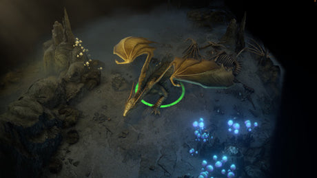 Pathfinder: Wrath of the Righteous - Limited Edition - Xbox - Video Games by Prime Matter The Chelsea Gamer