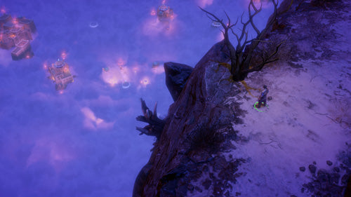 Pathfinder: Wrath of the Righteous - Limited Edition - Xbox - Video Games by Prime Matter The Chelsea Gamer