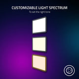 Razer Chroma™ RGB Key Light for Streaming - Lighting by Razer The Chelsea Gamer