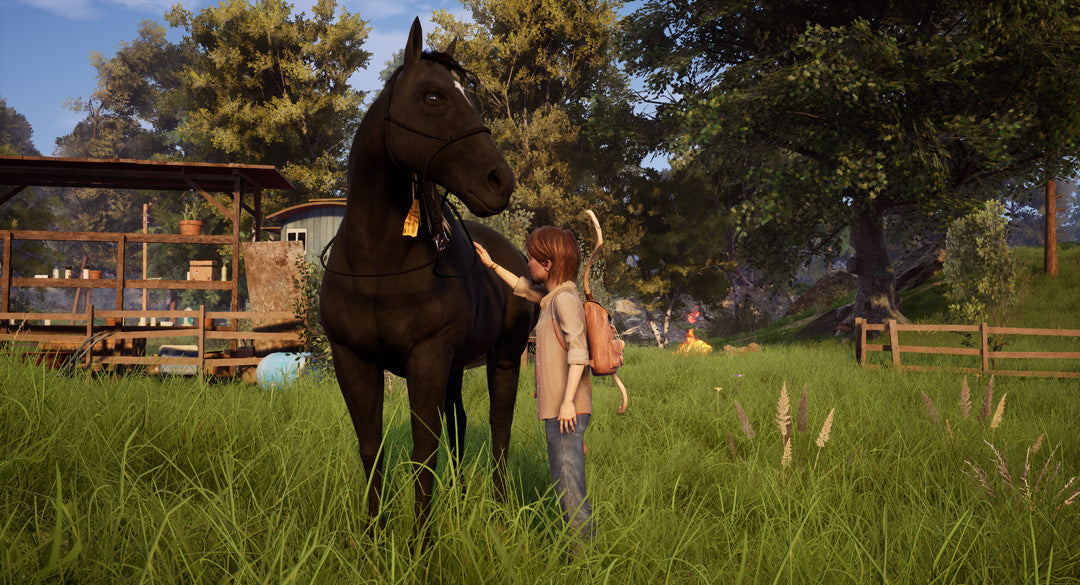 Windstorm: An Unexpected Arrival - PlayStation 4 - Video Games by Mindscape The Chelsea Gamer