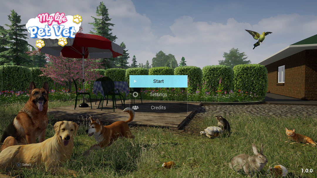 My Life: Pet Vet - PlayStation 5 - Video Games by Mindscape The Chelsea Gamer