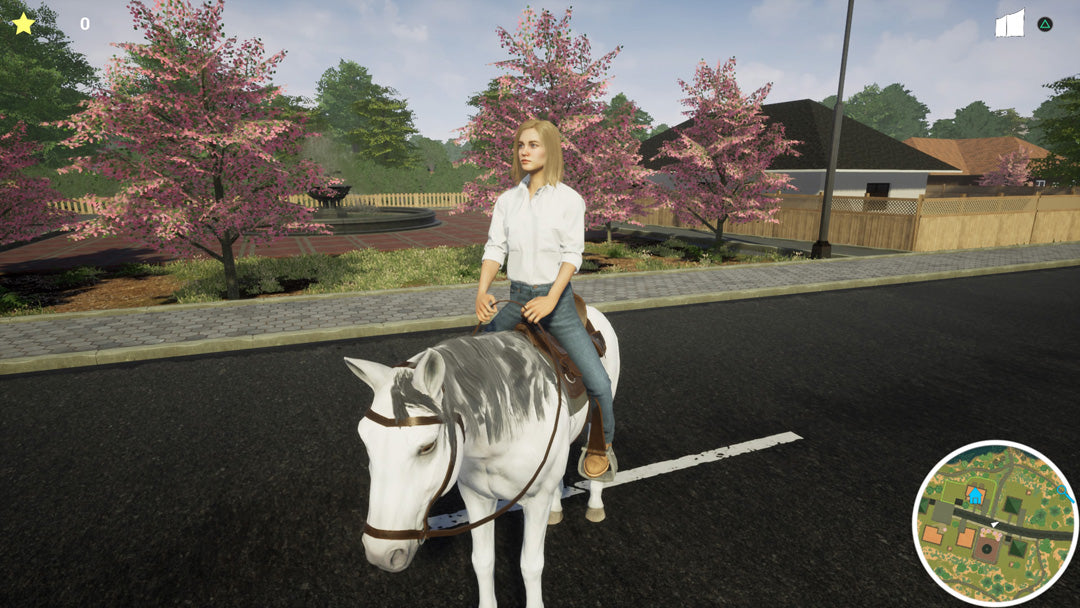 My Life: Pet Vet - PlayStation 4 - Video Games by Mindscape The Chelsea Gamer