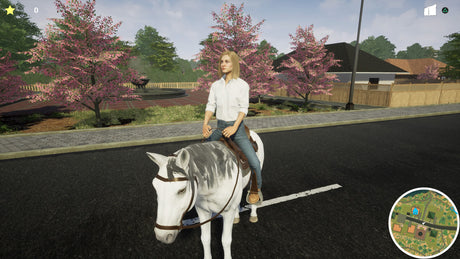 My Life: Pet Vet - PlayStation 4 - Video Games by Mindscape The Chelsea Gamer