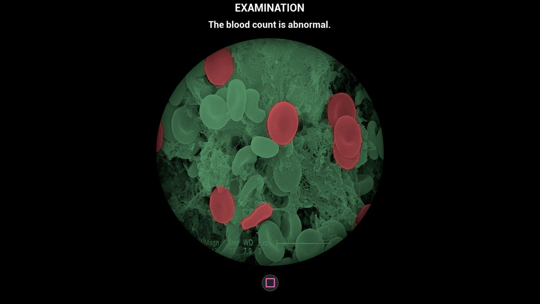 My Life: Pet Vet - PlayStation 5 - Video Games by Mindscape The Chelsea Gamer