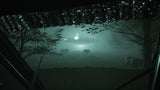 Greyhill Incident - PlayStation 5 - Video Games by Perpetual Europe The Chelsea Gamer