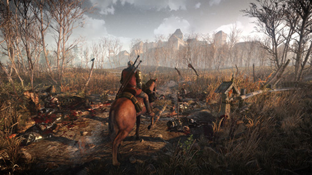 The Witcher III: Wild Hunt - PlayStation 4 - Video Games by Bandai Namco Entertainment The Chelsea Gamer
