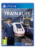 Train Life: A Railway Simulator - PlayStation 4 - Video Games by Maximum Games Ltd (UK Stock Account) The Chelsea Gamer