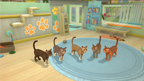 My Universe: Pet Clinic - Panda Edition - Nintendo Switch - Video Games by Maximum Games Ltd (UK Stock Account) The Chelsea Gamer