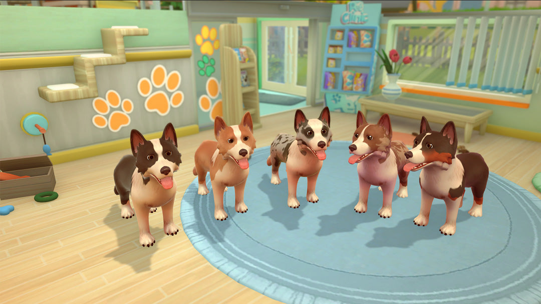 My Universe: Pet Clinic - Panda Edition - Nintendo Switch - Video Games by Maximum Games Ltd (UK Stock Account) The Chelsea Gamer