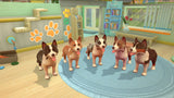 My Universe: Pet Clinic - Panda Edition - Nintendo Switch - Video Games by Maximum Games Ltd (UK Stock Account) The Chelsea Gamer