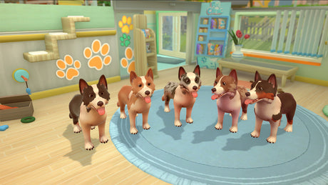 My Universe: Pet Clinic - Panda Edition - Nintendo Switch - Video Games by Maximum Games Ltd (UK Stock Account) The Chelsea Gamer