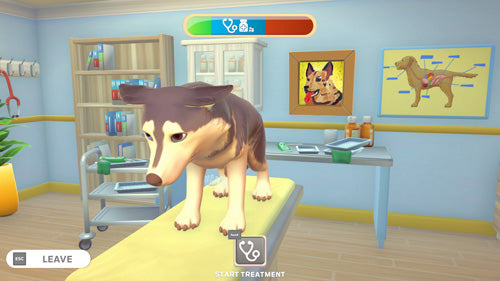 My Universe: Pet Edition + Travel Case Bundle - Video Games by Maximum Games Ltd (UK Stock Account) The Chelsea Gamer