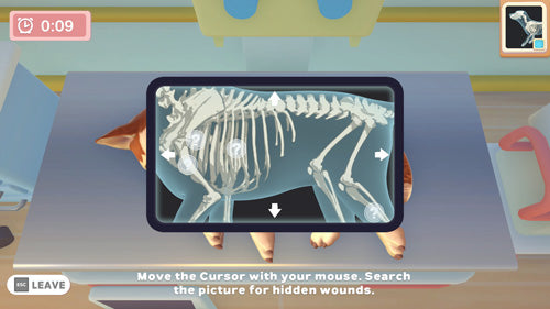 My Universe: Pet Edition + Travel Case Bundle - Video Games by Maximum Games Ltd (UK Stock Account) The Chelsea Gamer