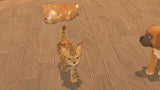 My Universe: Pet Edition + Travel Case Bundle - Video Games by Maximum Games Ltd (UK Stock Account) The Chelsea Gamer