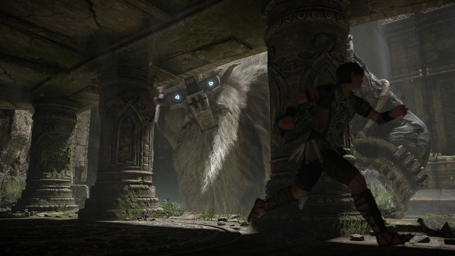 Shadow of Colossus - PS4 - Video Games by Sony The Chelsea Gamer