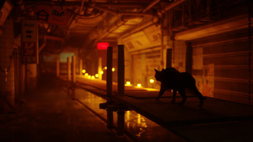 Stray - PlayStation 5 - Video Games by Maximum Games Ltd (UK Stock Account) The Chelsea Gamer