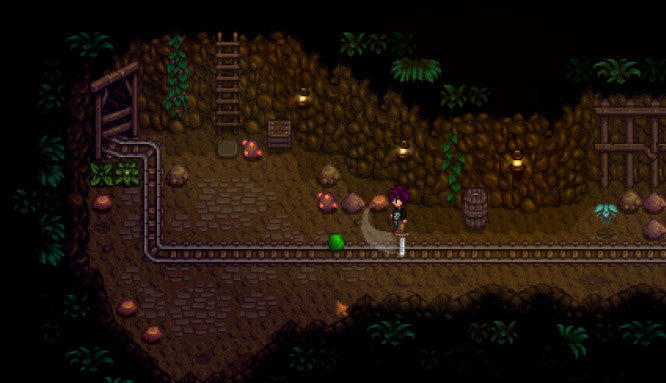 Stardew Valley Collector’s Edition - Xbox One - Video Games by 505 Games The Chelsea Gamer