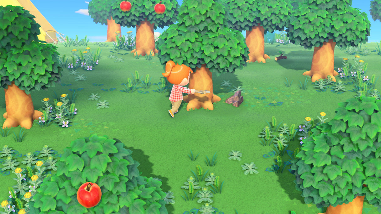 Animal Crossing New Horizons - Video Games by Nintendo The Chelsea Gamer