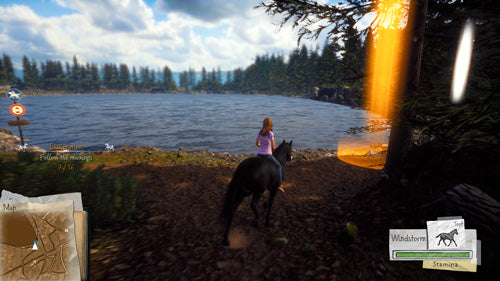 Windstorm: Start of a Great Friendship - PlayStation 4 - Video Games by Mindscape The Chelsea Gamer