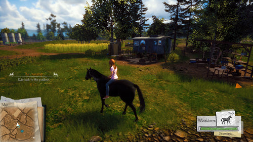 Windstorm: Start of a Great Friendship - PlayStation 4 - Video Games by Mindscape The Chelsea Gamer