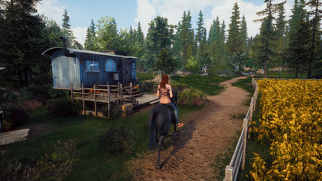 Windstorm: Start of a Great Friendship - PlayStation 4 - Video Games by Mindscape The Chelsea Gamer