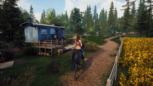 Windstorm: Start of a Great Friendship - Nintendo Switch - Video Games by Mindscape The Chelsea Gamer