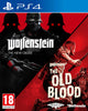 Wolfenstein Double Pack: The New Order/The Old Blood - Video Games by Bethesda The Chelsea Gamer
