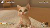 Little Friends: Dogs & Cats - Nintendo Switch - Video Games by Sold Out The Chelsea Gamer