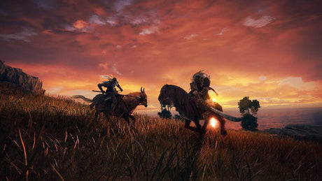Elden Ring - Launch Edition - PC - Code in a Box - Video Games by Bandai Namco Entertainment The Chelsea Gamer