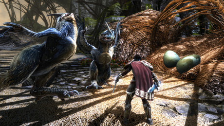 Kingdom of Amalur Reckoning HD - Video Games by Nordic Games The Chelsea Gamer