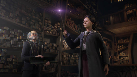 Hogwarts Legacy - Deluxe Edition - Nintendo Switch - Video Games by Warner Bros. Interactive Entertainment The Chelsea Gamer